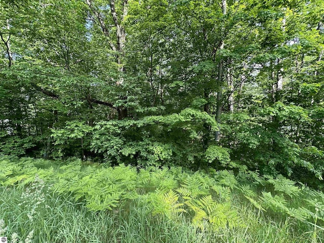 Listing photo 2 for LOT14 M-37, Cadillac MI 49601