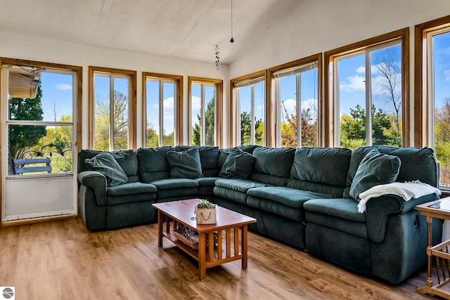 living room featuring wood-type flooring and vaulted ceiling