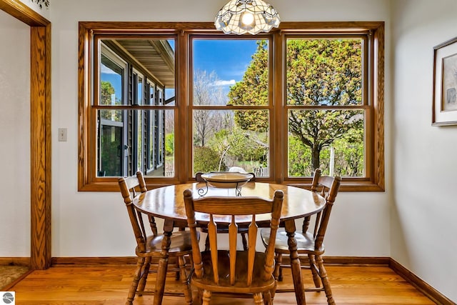 dining room with light hardwood / wood-style flooring