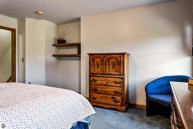 bedroom with dark carpet