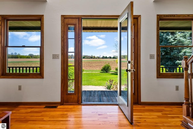 entryway with a healthy amount of sunlight, a rural view, and light wood-type flooring