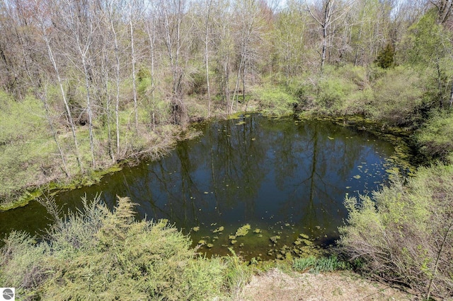 view of water feature