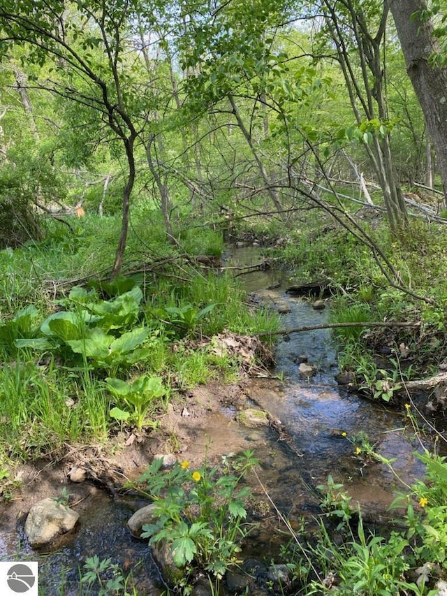 view of local wilderness