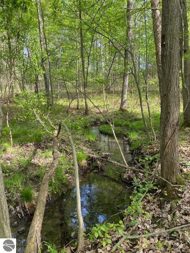 view of local wilderness