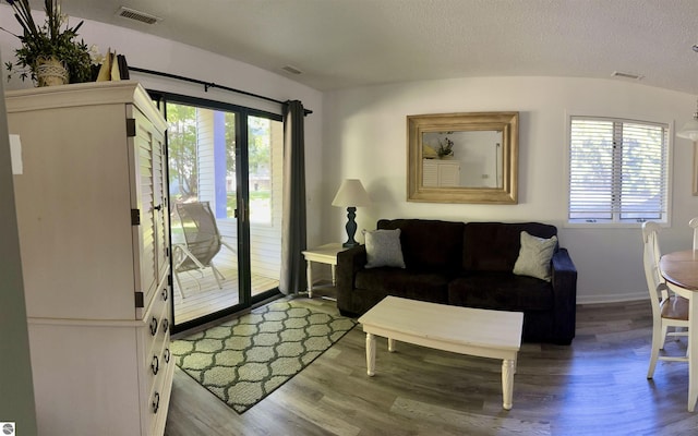 living room featuring a textured ceiling, a wealth of natural light, lofted ceiling, and wood-type flooring