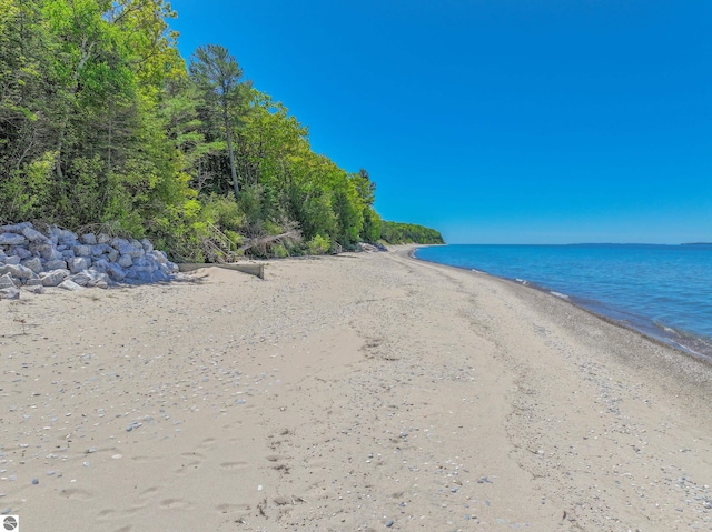 water view featuring a beach view