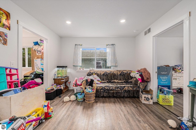 rec room featuring plenty of natural light and wood-type flooring