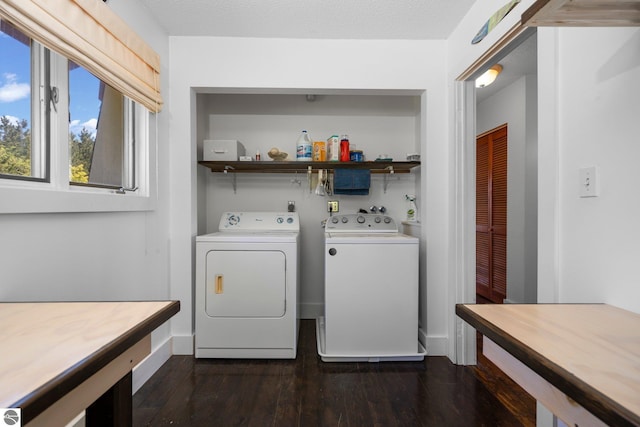 washroom with dark hardwood / wood-style floors and washing machine and clothes dryer