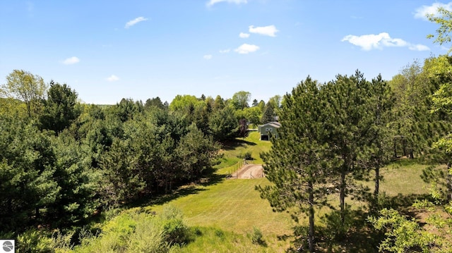 view of local wilderness