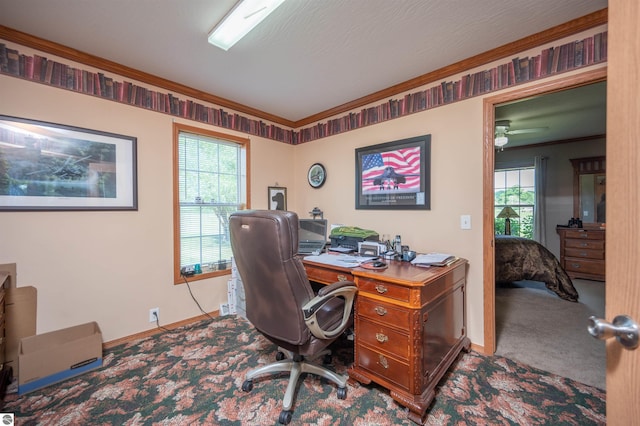 home office featuring plenty of natural light, ceiling fan, carpet floors, and ornamental molding