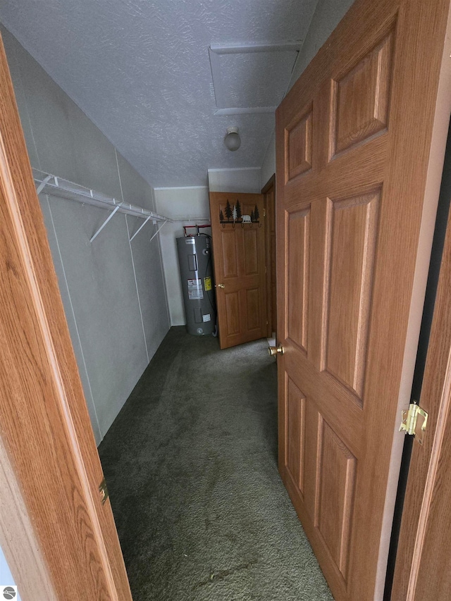 spacious closet with electric water heater, vaulted ceiling, and dark carpet