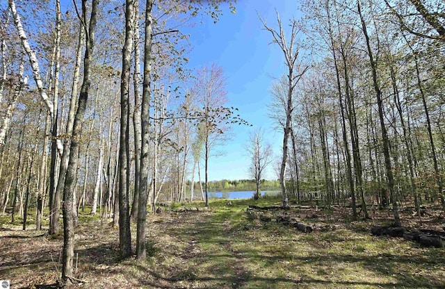 view of nature featuring a water view