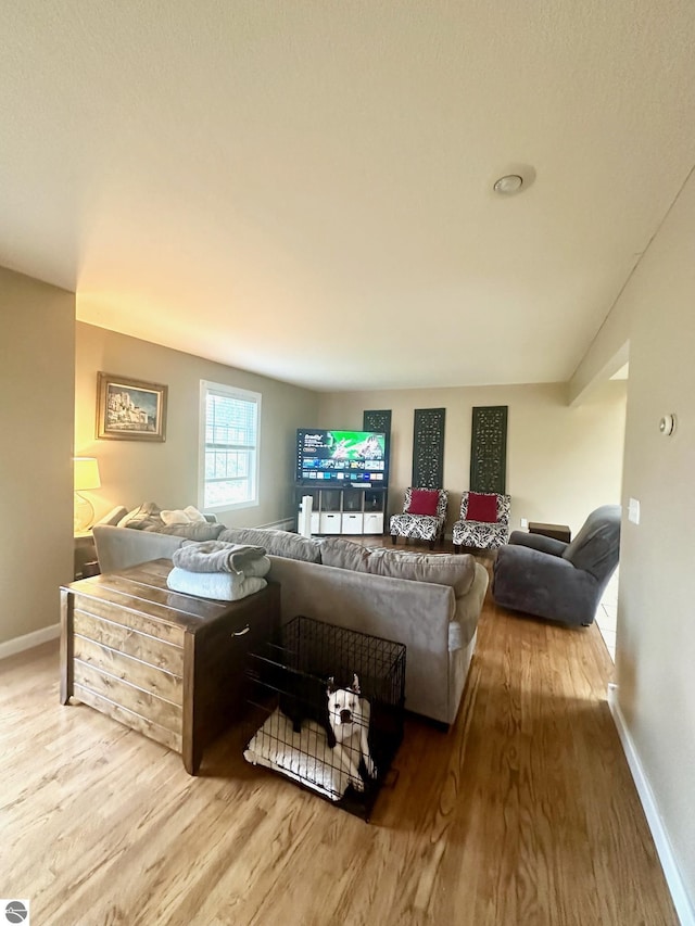 living room featuring wood-type flooring