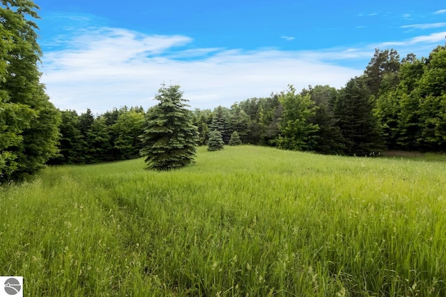 view of landscape