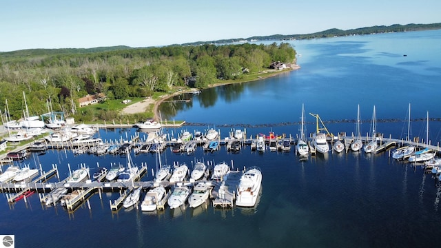 4472 Crescent Beach Rd, Onekama, MI 49675 - drone / aerial view with a water view