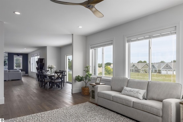 living room with ceiling fan and dark hardwood / wood-style floors