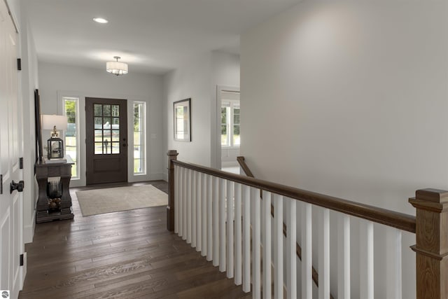 foyer with dark wood-type flooring