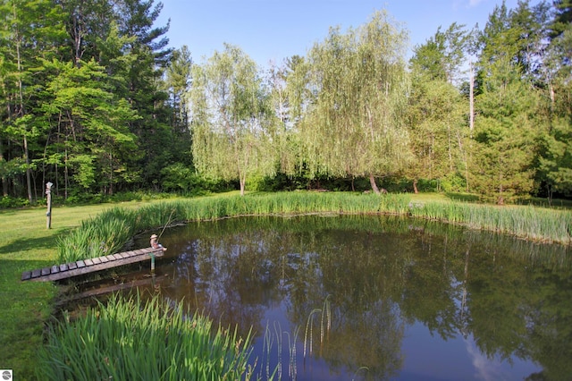 water view