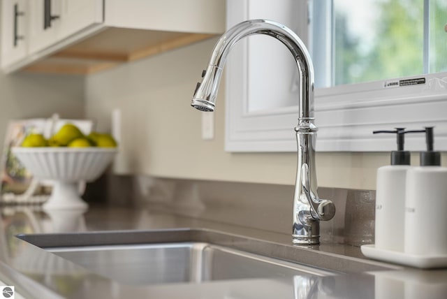 details featuring white cabinets and sink