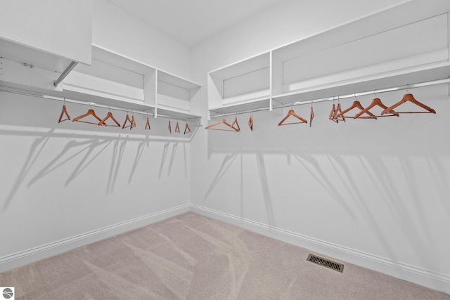 spacious closet with carpet floors