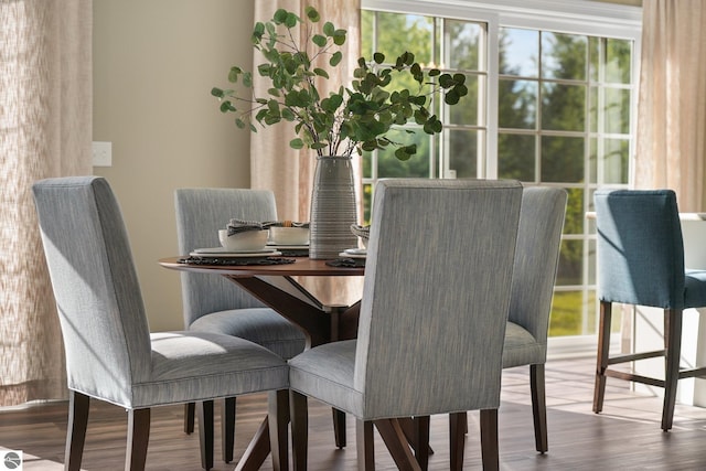 dining room with hardwood / wood-style flooring