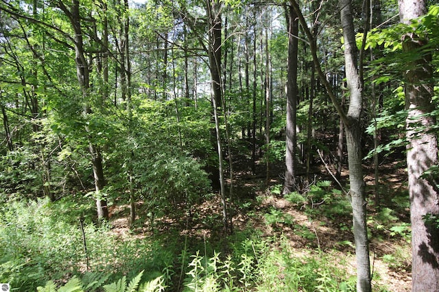 Center Rd, Traverse City MI, 49686 land for sale