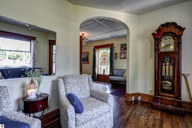 sitting room featuring a healthy amount of sunlight and dark wood-type flooring