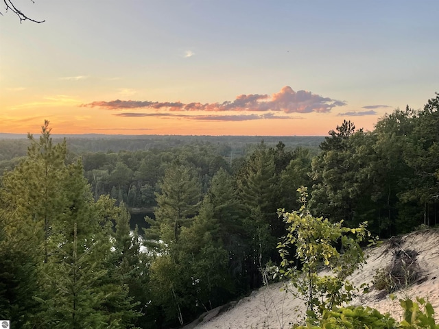 view of nature at dusk