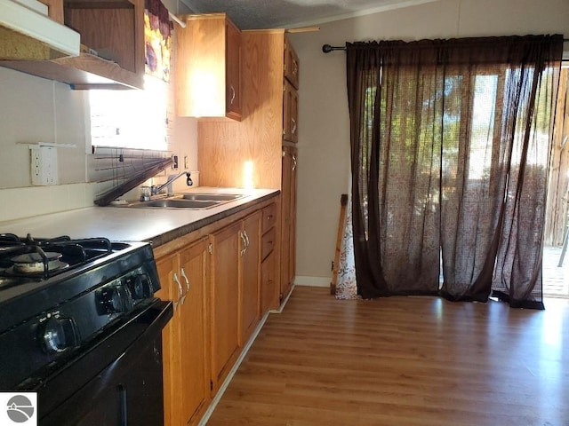 kitchen with tasteful backsplash, black range with gas stovetop, sink, light hardwood / wood-style floors, and range hood