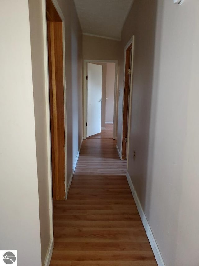 corridor featuring light hardwood / wood-style flooring