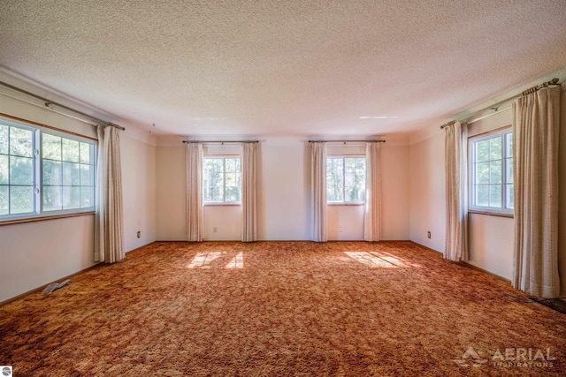 unfurnished room with carpet flooring and a textured ceiling