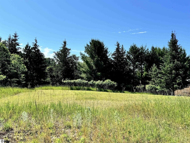 00 Arbutus Dr, Cadillac MI, 49601 land for sale