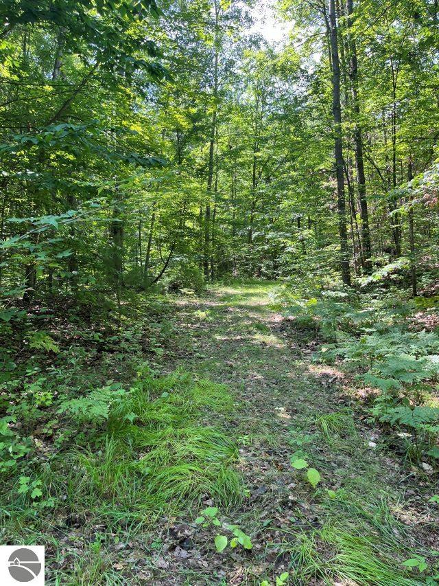 211 Logging Trl, Leroy MI, 49655 land for sale