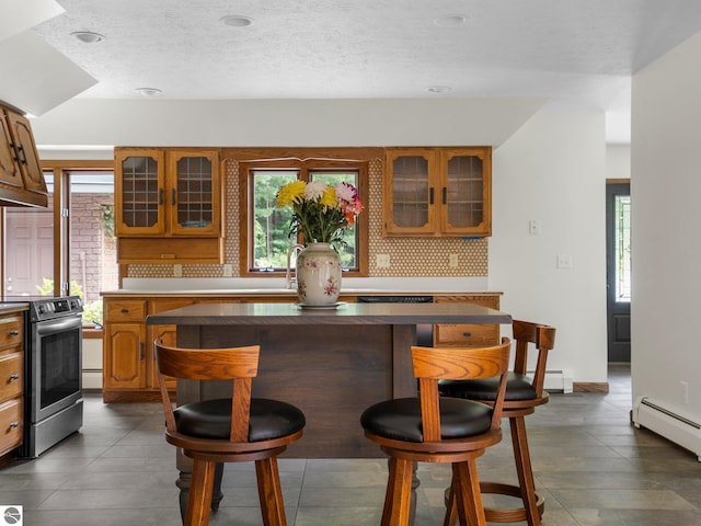 kitchen featuring backsplash, a baseboard radiator, plenty of natural light, and stainless steel electric stove