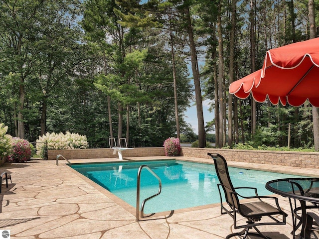 view of pool with a patio