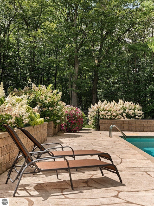 view of swimming pool