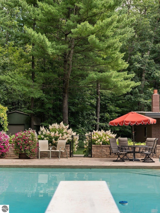 view of swimming pool