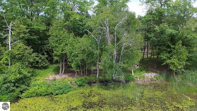 Listing photo 2 for 00 Partridge Trl, Elk Rapids MI 49629