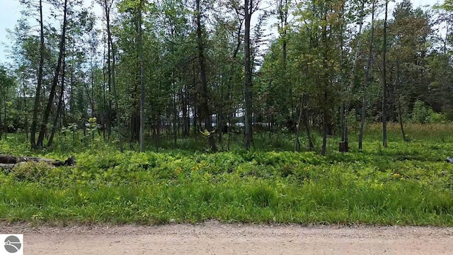 Listing photo 3 for 0 Partridge Trl, Elk Rapids MI 49629