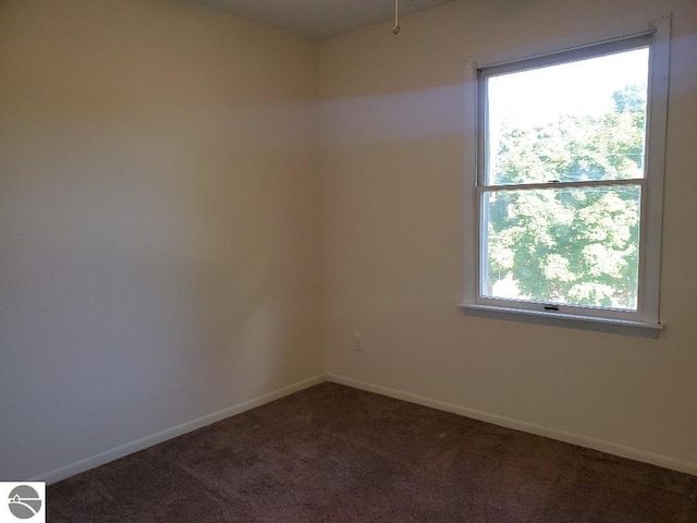 carpeted spare room featuring a wealth of natural light