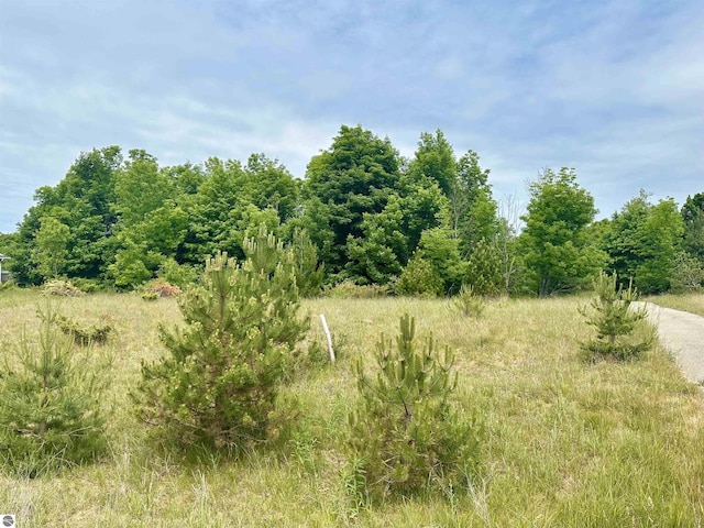 19 High Meadow Trl, Frankfort, MI 49635