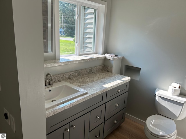 bathroom featuring vanity, hardwood / wood-style flooring, and toilet