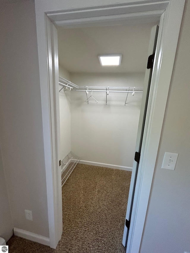 spacious closet with carpet floors