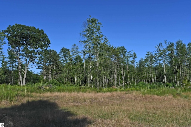 ParcelG F-30, Greenbush MI, 48738 land for sale