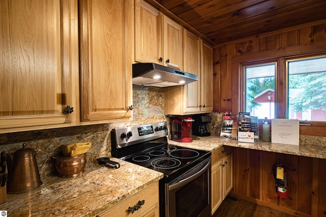 kitchen featuring stainless steel electric range, tasteful backsplash, light stone counters, and dark wood-type flooring