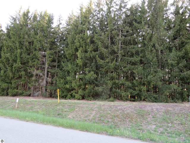 1015 Spruce Hollow Trce, Fife Lake, MI 49633