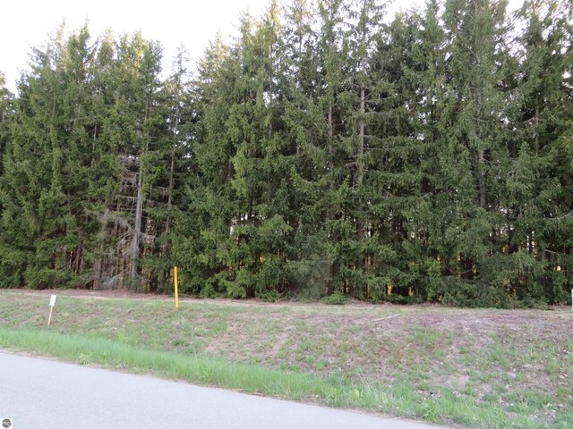 1015 Spruce Hollow Trce, Fife Lake, MI 49633