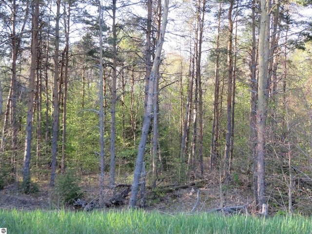 1015 Spruce Hollow Trce, Fife Lake, MI 49633