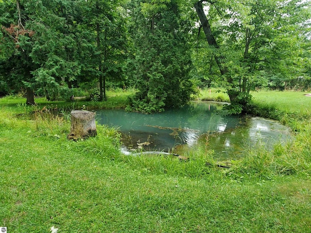 view of water feature