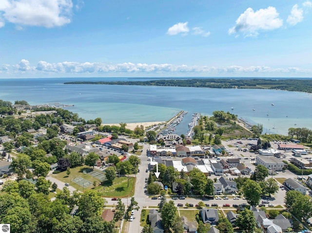 224 Saint Marys St, Suttons Bay, MI 49682 - drone / aerial view with a water view